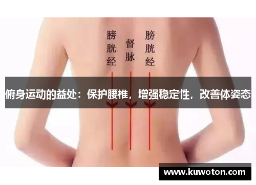 俯身运动的益处：保护腰椎，增强稳定性，改善体姿态