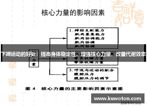 下蹲运动的好处：提高身体稳定性，增强核心力量，改善代谢效率